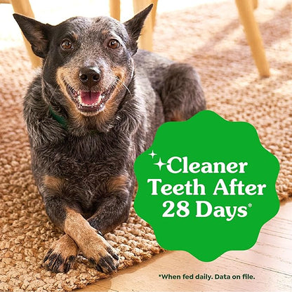 Greenies Veterinarian-Recommended Natural Dental Dog Treats Teenie Size, Original Flavor, 12 oz. Pack, 43 Count