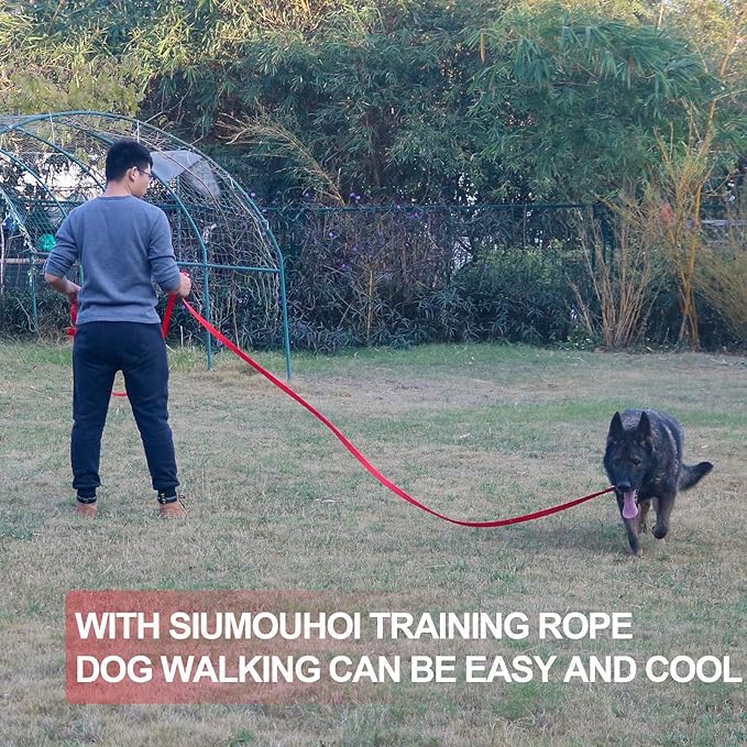 Dog/Puppy Obedience Recall Training Agility Lead - 15ft 20ft 30ft 40ft 50ft Training Leash - Great for Play, Camping, or Backyard - Red 20ft (20Feet, Red)