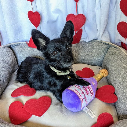 Huxley & Kent Tickled Pink Chompagne Valentine's Day Power Plush Dog Toy with Squeaker (Large) - Funny and Cute H&K Squeaky Toy for Dogs