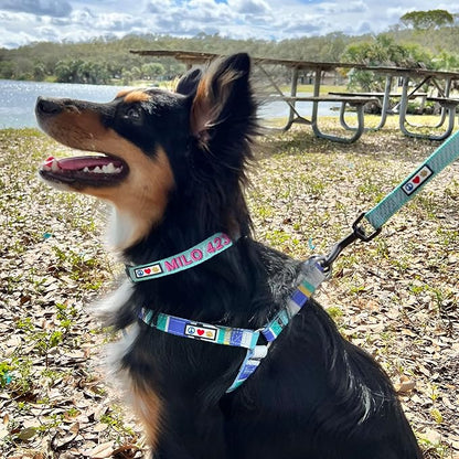 Pawtitas Reflective Dog Collar - Personalized Name & Phone Number, Adjustable for Small Dogs & Puppies - Black