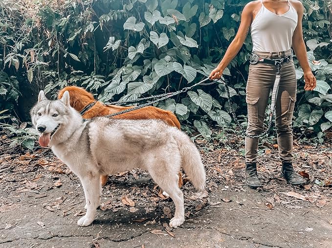 Tuff Pupper Heavy Duty Hands Free Bungee Dog Leash | Two Large Dogs Up to 250 lbs | Comfortable Shock Absorbing Bungee | Reflective Dual Padded Handles | Lumbar Waist Belt 26-38" | 360° Swivel Clips