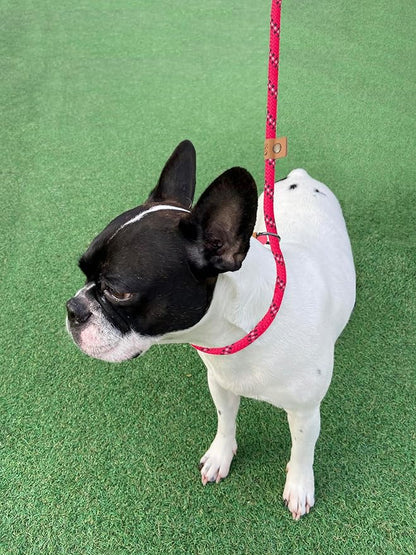 5 FT Slip Lead Dog Leash, Heavy Duty Rope Leash for Small Medium Large Dogs, No Pull Training Lead with Reflective Thread, Strong Comfortable Loop Leash (Red Stripe, Medium(3/8"))