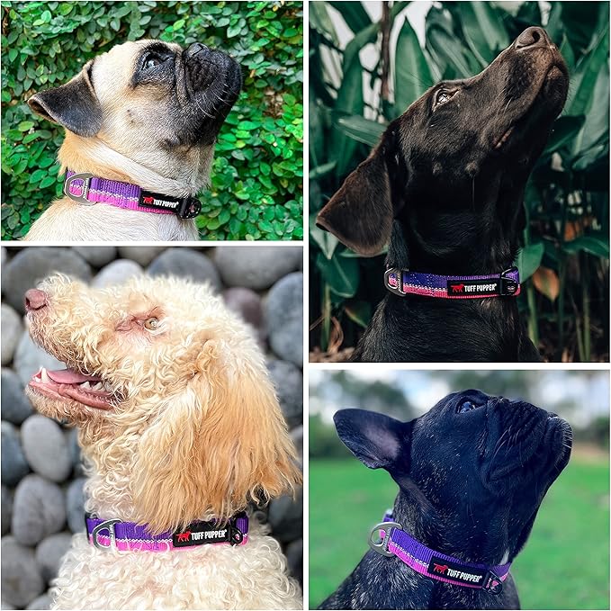 Tuff Pupper Heavy Duty Dog Collar | Tough Dogs Collar | Reflective Collars with Aluminum D-Ring Leash Clip | Separate ID Tag Attachment Keeps Engraved Dog Tags Quiet | Easy Sizing for All Breeds