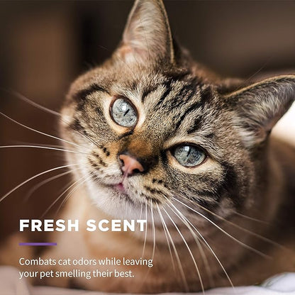 Wet Ones for Pets Freshening Multipurpose Wipes for Cats with Aloe Vera, Fresh Scent - Easy to Use Cat Cleaning Wipes for Pet Grooming, 100 Count - 12 Pack