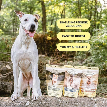 BADLANDS RANCH by Katherine Heigl – Superfood Bite Freeze-Dried Raw Beef Liver Dog Treats – High Protein Single-Ingredient Snacks for Training, Rewards & Daily Wellness