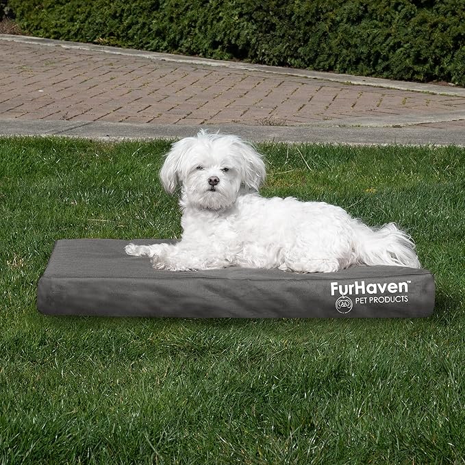 Furhaven Water-Resistant Orthopedic Dog Bed for Medium/Small Dogs w/ Removable Washable Cover, For Dogs Up to 35 lbs - Indoor/Outdoor Logo Print Oxford Polycanvas Mattress - Stone Gray, Medium