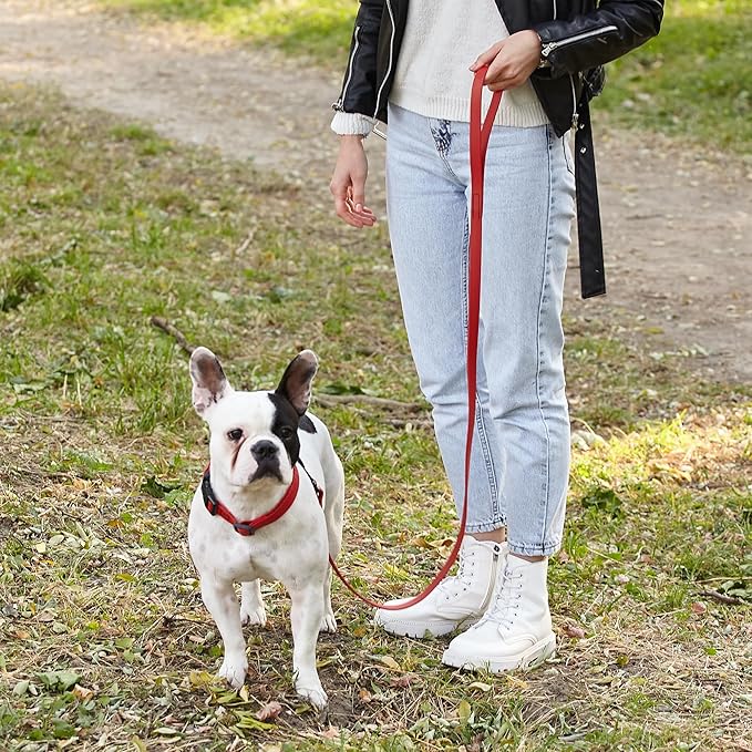 Dogline Biothane Waterproof Dog Leash Strong Coated Nylon Webbing with Black Hardware Odor-Proof Easy to Clean High Performance for Small or Large Dogs Made in USA 4 or 6 ft Lead, Cherry Red