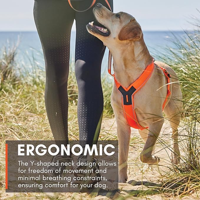 Non-stop dogwear Line Harness 5.0, Padded Dog Harness for Medium Dogs, Made for Hiking, Sport and Everyday Active Life with 3 Leash Clips, Reflectors and Ergonomic Fit, Orange, Size 6  