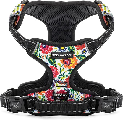 Lucky Love Dog No Pull Dog Harness, Adjustable and Easy to Walk, Cute Patterned Harness for Large Male & Female Dogs - Ladybird, Large