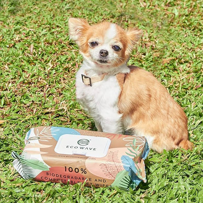 Eco Wave Hypoallergenic Plant-Based Pet Wipes, Dog and Cat Grooming Wipes for Face, Ears, Body, Butt, and Paws, Fragrance Free, Compostable, 100 Count
