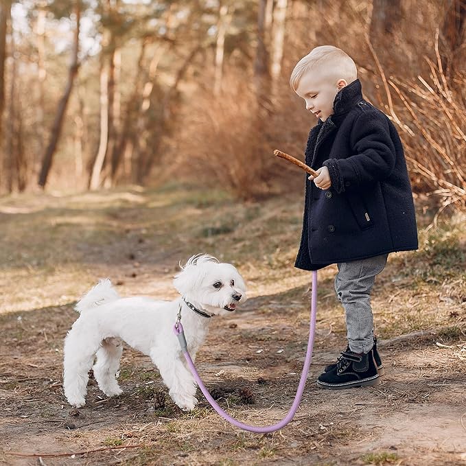 Mile High Life Dog Leash, with Comfortable Padded Handle, Purple Nylon Rope Leash with Steel Tips, Heavy Duty 4 Feet Pet Leashes (Pink,48 Inches)