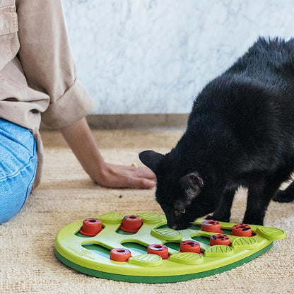 Catstages Nina Ottosson Buggin' Out Puzzle & Play – Interactive Cat Puzzle Feeder for Indoor Cats, 16 Hidden Treat Compartments, Slow Feeder, Durable & Easy-Clean