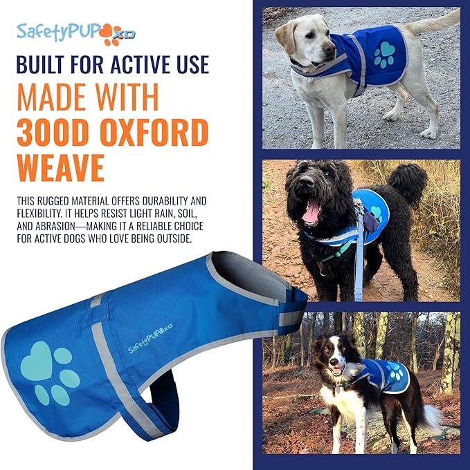 SafetyPUP XD Dog Reflective Vest – Hi-Vis Fluorescent Visibility That Helps to Safeguard Your Pet On/Off Leash in Urban & Rural Areas (Blue, Small)
