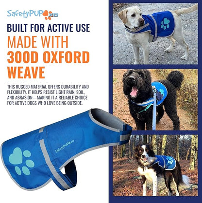 SafetyPUP XD Dog Reflective Vest – Hi-Vis Fluorescent Visibility That Helps to Safeguard Your Pet On/Off Leash in Urban & Rural Areas (Blue, Large)