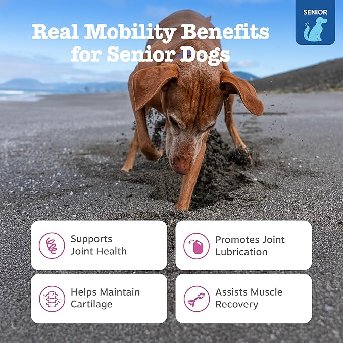 Zesty Paws Mobility Bites Joint Supplement for Dogs - Soft Chews with Glucosamine for Dogs, Chondroitin, & MSM + Vitamins C and E - Adv Chicken - 90 Count