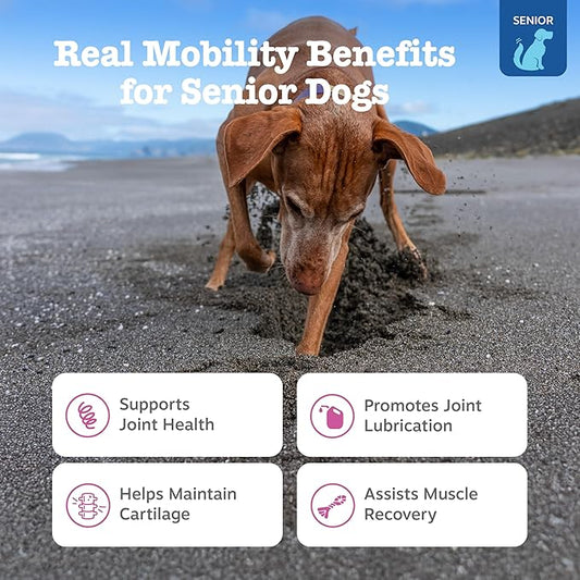 Zesty Paws Mobility Bites Joint Supplement for Dogs - Soft Chews with Glucosamine for Dogs, Chondroitin, & MSM + Vitamins C and E - Adv Chicken - 90 Count