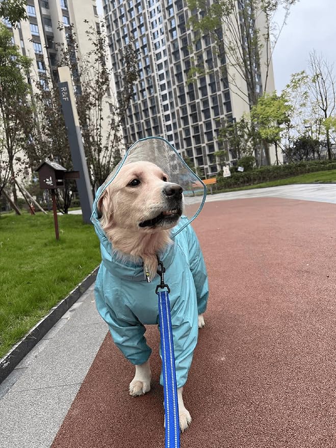 TRUE LOVE Reflective Dog Leash Puppy Walking Lead, Padded Pet Chain Rope，Length 110cm TLL2111(Royal Blue,L)