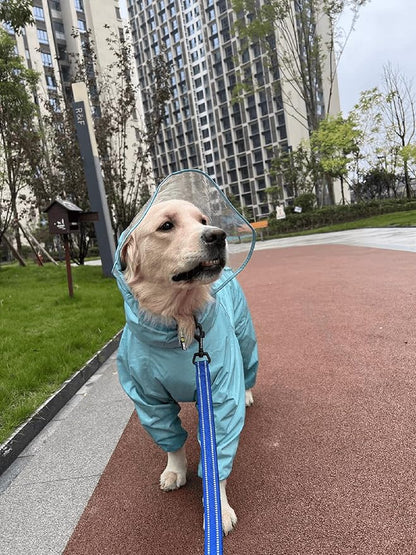 TRUE LOVE Reflective Dog Leash Puppy Walking Lead, Padded Pet Chain Rope，Length 110cm TLL2111(Royal Blue,L)