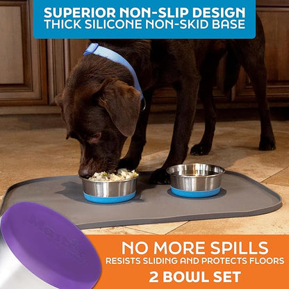 Master Pet Supply Stainless Steel Dog Bowls Set of 2 with Extra Thick Silicone Base - 2 Cup (16 oz) Plum Crazy, Non-Slip, Dishwasher Safe Metal Bowls, Pet Dog Food Bowl for Dogs, Cats, Anti Rust