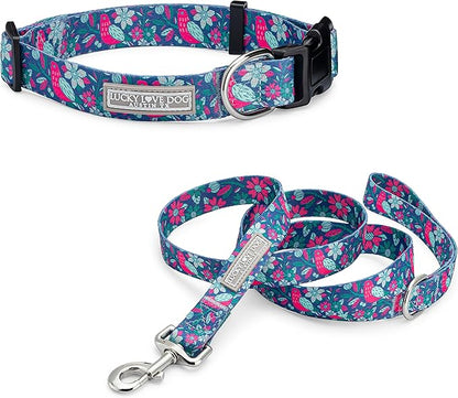 Lucky Love Dog - Adjustable Collar and Leash Set with Easy Click Buckle for Small Dogs, Durable, & Comfortable Collar for Male & Female Dogs, Puppies & Adult - CarrieBelle Combo, XS