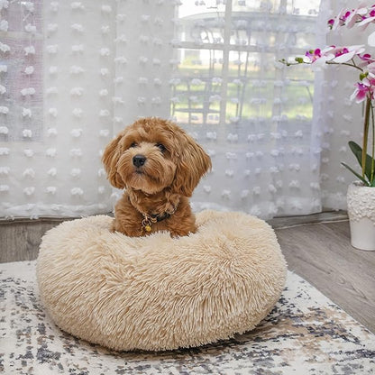 Calming Donut Dogs Beds for Small Dogs Washable,19inch Fluffy Round Puppy Bed for Puppies,Cats & Toy Breeds with Raised Rim,Fits up to 15 lbs Pets,Beige