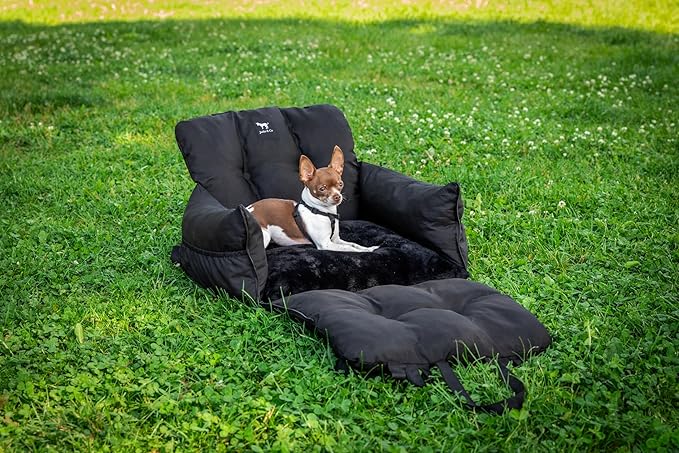 JACKO & CO - Premium Dog Car Seat v2 Booster Seat for Small & Medium Pets Under 25lbs - Machine Washable w Removable Cover Water Resistant w Clip-On Leash for Front or Back Seat (Black Small (1-25lbs)