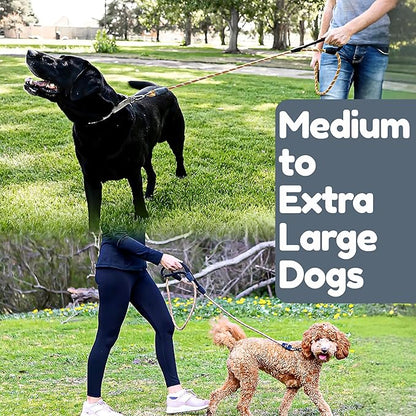 6 Foot Dog Leash, Two Extra Padded Handles, Locking Carabiner Clip, Reflective for Night Visibility, Weatherproof, Heavy Duty Rope Leash, Roam Gear (Brown)