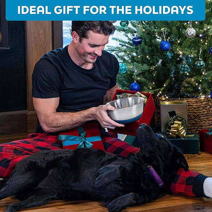 Master Pet Supply Stainless Steel Dog Bowls Set of 2 with Extra Thick Silicone Base - 8 Cup (64 oz) Mango Tango, Non-Slip, Dishwasher Safe Metal Bowls, Pet Dog Food Bowl for Dogs, Cats, Anti Rust