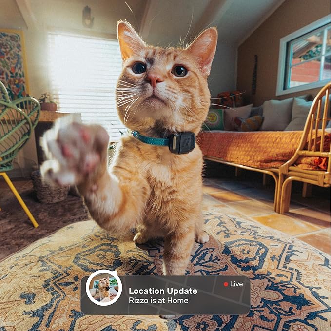 Fi Mini GPS Tracker for Cats — Lightweight Collar Attachment, Virtual Fences, Escape Alerts, Step & Health Tracking, Waterproof Cat Tracker — 12-Month Membership Included
