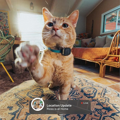 Fi Mini GPS Tracker for Cats — Lightweight Collar Attachment, Virtual Fences, Escape Alerts, Step & Health Tracking, Waterproof Cat Tracker — 6-Month Membership Included