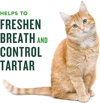 Minties Dental Treats for Cats, Salmon Flavored Cat Dental Treats, Freshens Breath and Controls Tartar, 10oz