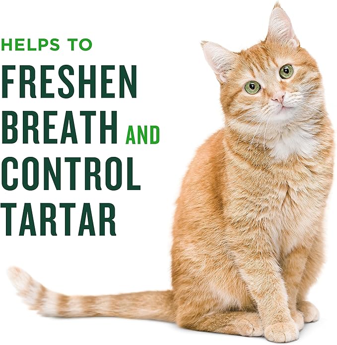 Minties Dental Treats for Cats, Chicken Flavored Treats for Cats, Freshens Breath and Controls Tartar, 2.5oz (Pack of 2)