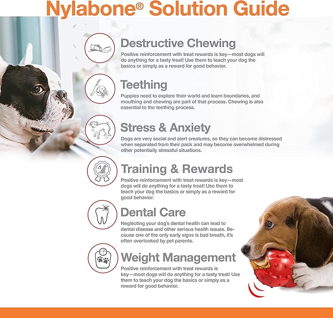 Nylabone Original Bone Power Chew Toy for Dogs, Durable Dog Toys for Aggressive Chewers, Flavor Frenzy Funnel Cake & Shish Kabob Flavor, Large - Up to 50 lbs, 2 Pack