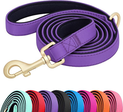 Didog 5FT Colorful Nylon Dog Leash with Soft Full-Length Padding, Lightweight and Durable Pet Leash for Medium and Large Dogs, Purple, M