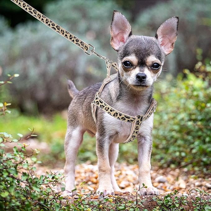 Mile High Life Leopard Dog Harness Collar Leash Set, Adjustable No Pull Dog Halter Harness for Small Breed Dogs, Easy Control for Training Walking (Beige, S Chest 11"-18", Neck 10"-14")
