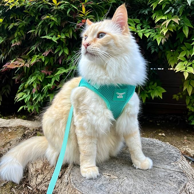 Travel Cat x Jackson Galaxy Harness and Leash Set - Adjustable Fit Mesh Cat Harness with Nylon Leash - Comfort, Escape Proof Harness for Cats, Kitten for Outdoor Walking, Hiking (Large)