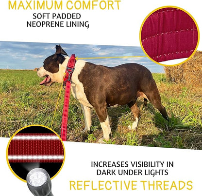 ADITYNA Heavy Duty Dog Collar for Extra-Large Dogs - Reflective Burgundy Collar with Handle for Training, and Walking - Wide, Thick, Tactical, Soft Neoprene Padded
