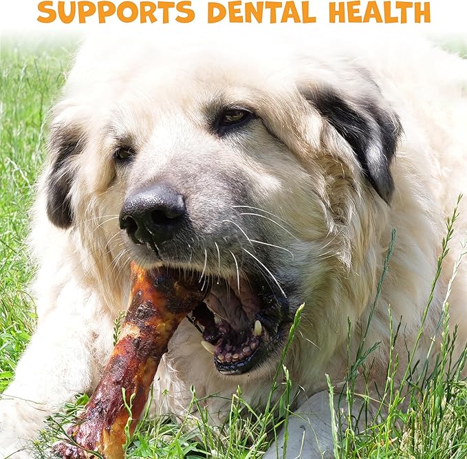 Pack Approved Beef Shin Bones for Dogs - Liver Coated Long Lasting Dog Chews for Aggressive Chewers - Rawhide-Free Big Bones for Large Dogs - Healthy Large Dog Bone (1 Pack)