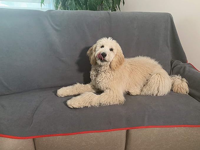 Premium Deluxe - 100% Waterproof Blanket Guarantees to Keep Your Bed Dry! Crinkle-Free Ultra-Soft Fleece Furniture Protector for People Kids Pets. EZ Wash/Dry Red/Grey Reversible 80x60