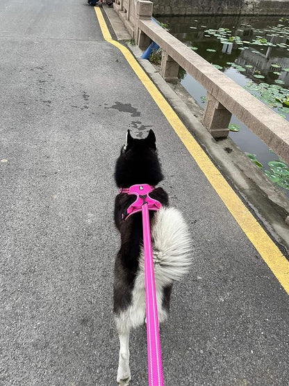 TRUE LOVE Reflective Dog Leash Puppy Walking Lead, Padded Pet Chain Rope，Length 110cm Truelove TLL2111(Fushcia,S)
