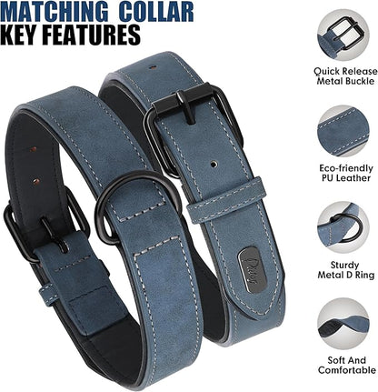 Didog Soft Padded Leather Dog Collar and Leash Set, Adjustable Dog Leash and Collar Set with Metal Buckle, Breathable Dog Collars with 4FT PU Leather Dog Leash for Small Medium Dogs, Blue, M