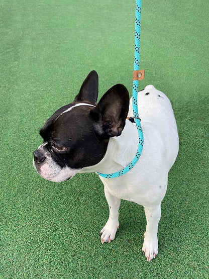 5 FT Slip Lead Dog Leash, Heavy Duty Rope Leash for Small Medium Large Dogs, No Pull Training Lead with Reflective Thread, Strong Comfortable Loop Leash (Teal Stripe, Medium(3/8"))