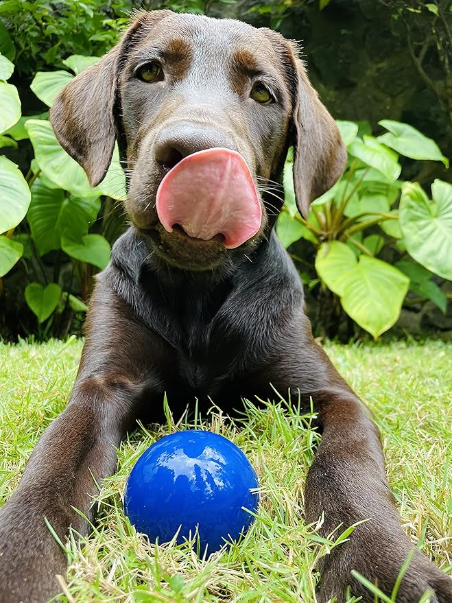 Tuff Pupper SuperChewer Tough Dog Ball Toy | Lifetime Replacement | Strong Natural Rubber | Great Dog Fetch Toy | Chew Toys for Dogs | Ultra Durable Chew Toys for Aggressive Chewers | for All Breeds