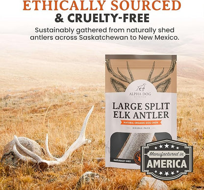 Alpha Dog Nutrition Elk Antler Chews (Large, Split)