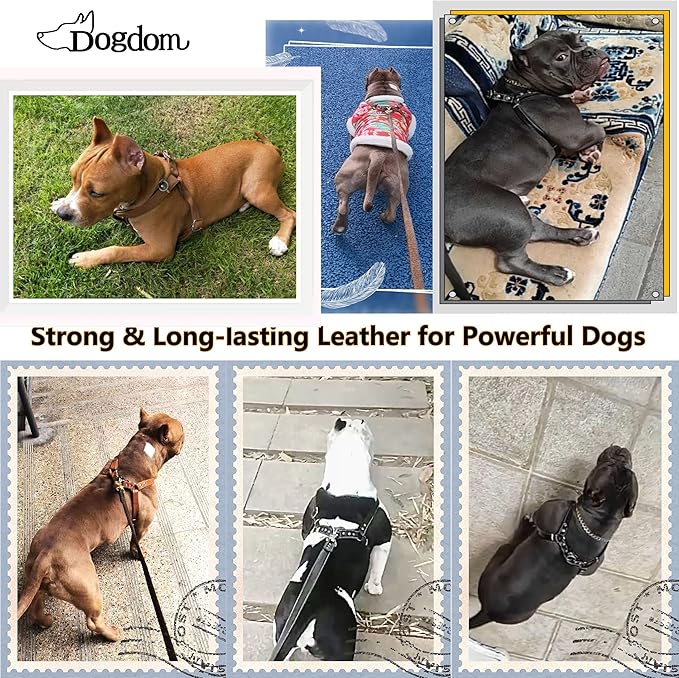 Leather Dog Harness with Padded Chest Plate – Adjustable Genuine Leather H-Style Walking Harness with Metal Buckles and American Flag Emblem for Medium & Large Dogs, Black & Brown (Black, M)