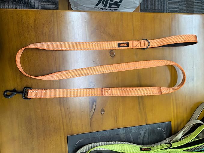 Heavy Duty Leash for Large Breed Dogs - Double Handle, Reflective Training Lead, Perfect for Medium to Large Dogs (6FT Orange)