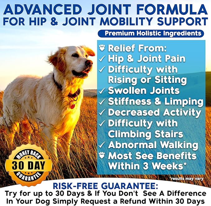 Well Loved Glucosamine for Dogs - Joint Supplement for Dogs, Made in USA, Vet Developed, Glucosamine Chondroitin, Hip and Joint Chews with MSM, Large Breed, Pain Relief, 120 Chews