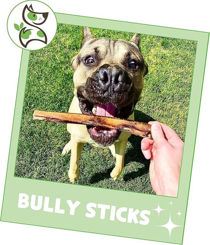 Nature Gnaws Bully Sticks for Dogs 5-6" (8oz) - Mixed Thickness - Long Lasting for Aggressive Chewers and Large Dogs - Natural Beef Dog Chew Bones