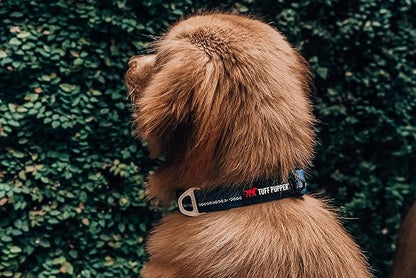 Tuff Pupper Heavy Duty Dog Collar | Tough Dogs Collar | Reflective Collars with Aluminum D-Ring Leash Clip | Separate ID Tag Attachment Keeps Engraved Dog Tags Quiet | Easy Sizing for All Breeds