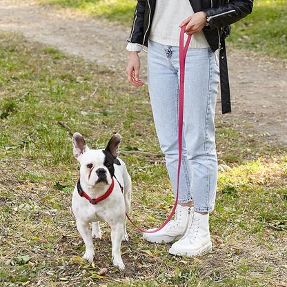 Dogline Biothane Waterproof Dog Leash Strong Coated Nylon Webbing with Black Hardware Odor-Proof Easy to Clean High Performance for Small or Large Dogs Made in USA 4 or 6 ft Lead, Passionfruit Pink